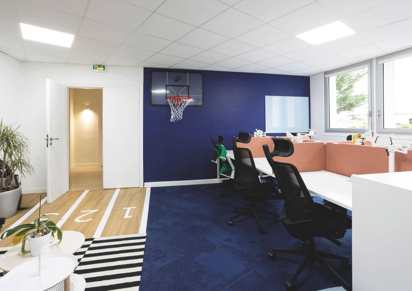 Isospace transforms the offices of the French Sports Foundation into a source of inspiration